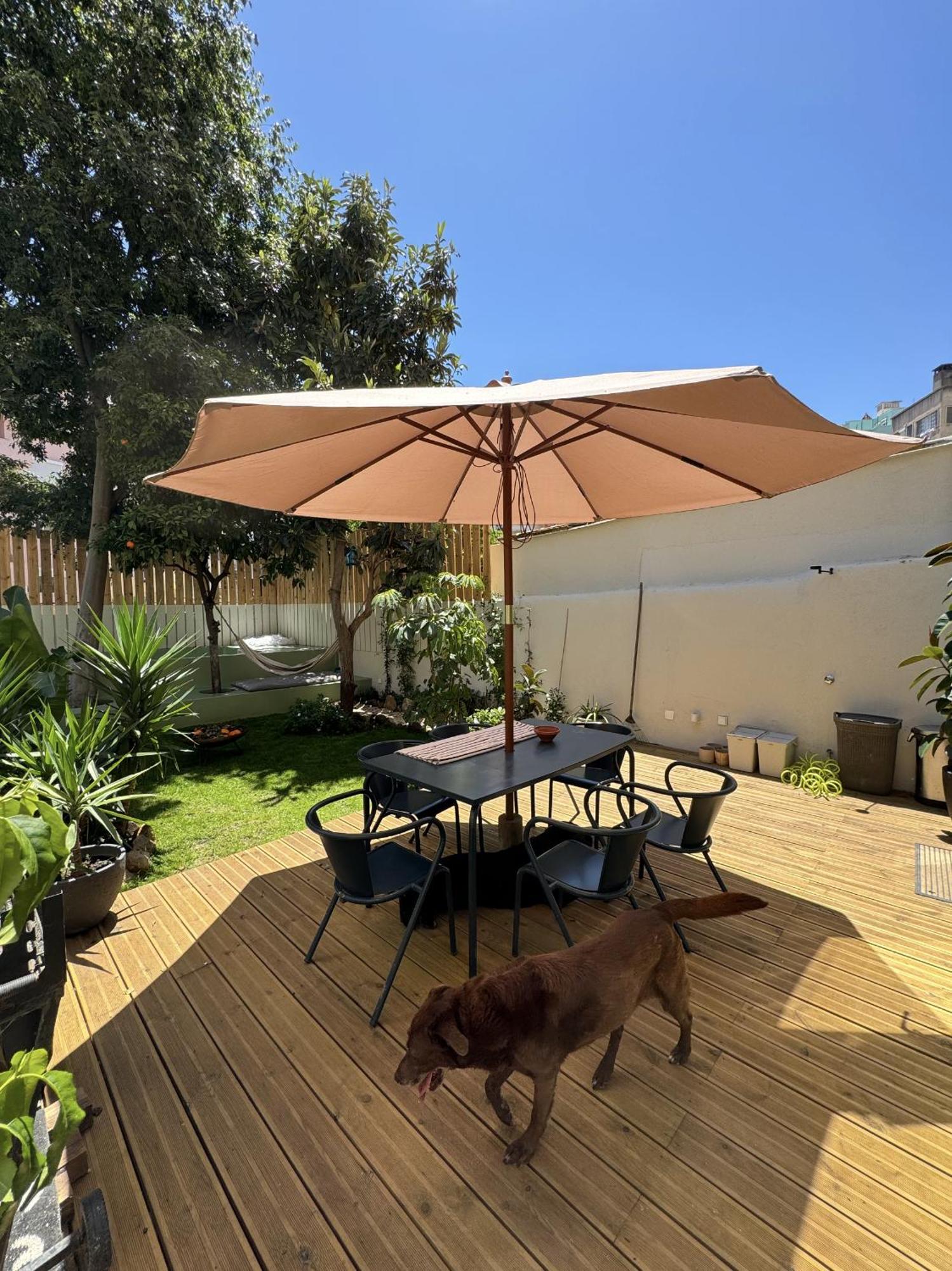 Contemporary Oasis In The Heart Of Appartement Lisboa